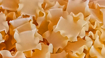 8 tojásos fodroskocka